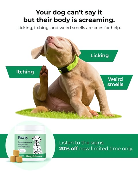 A problem-solution ad for dog allergy chews featuring a distressed dog and clear indicators of common health issues.